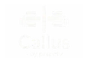 Callus — by prspctv